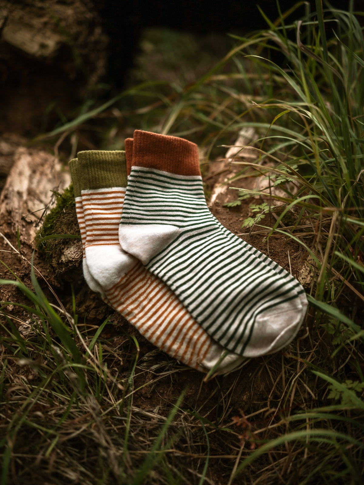 Striped Cotton Socks