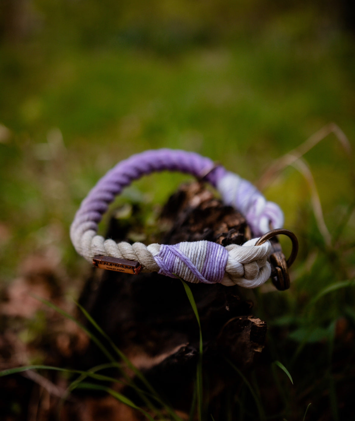 Lavender Fields Dog Collars