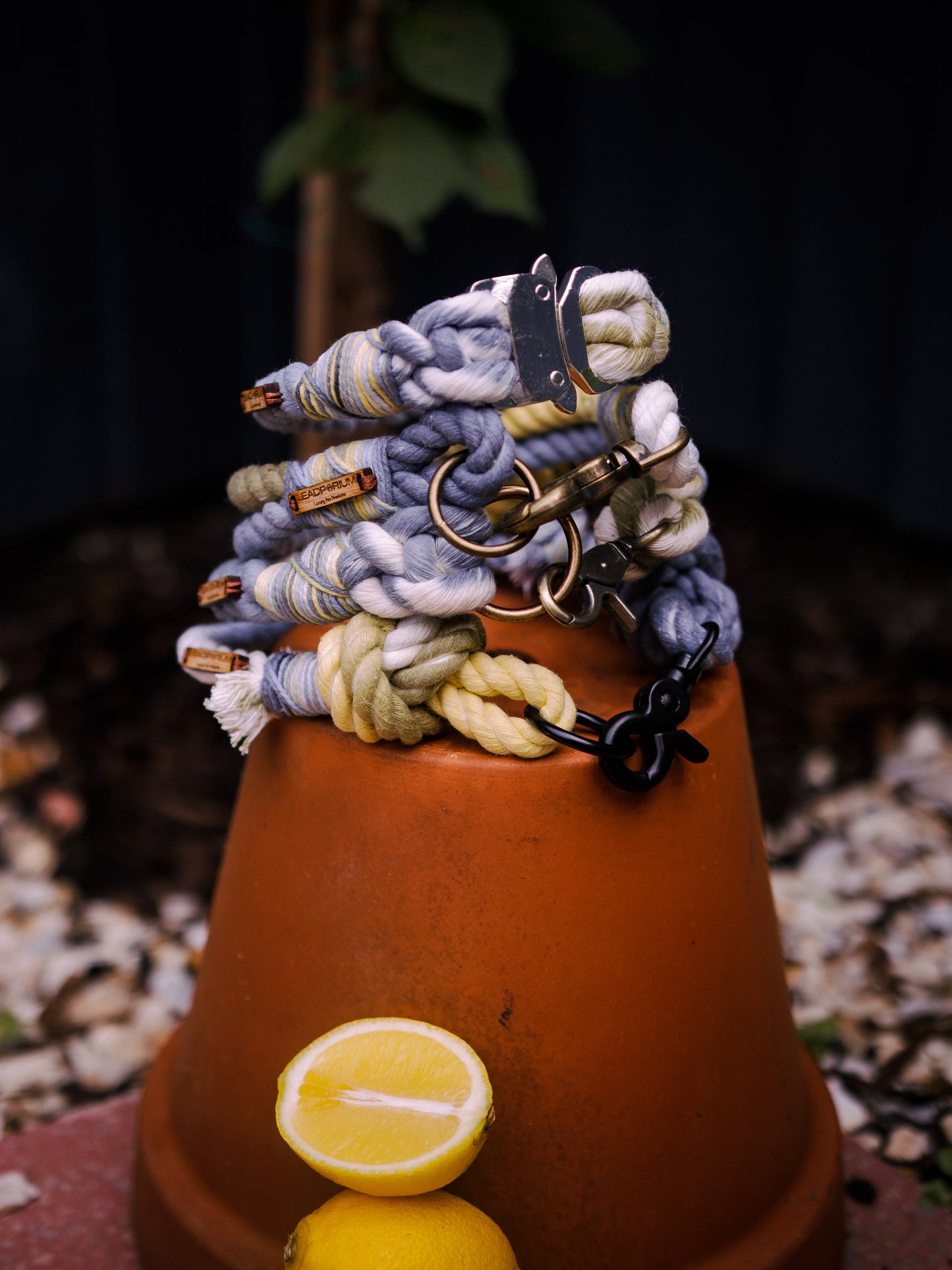 Amalfi, The Dog Collars