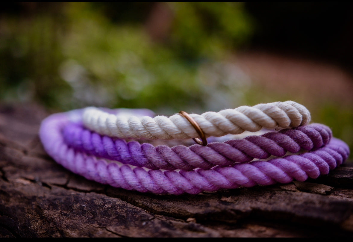 Lavender Fields Dog Leads