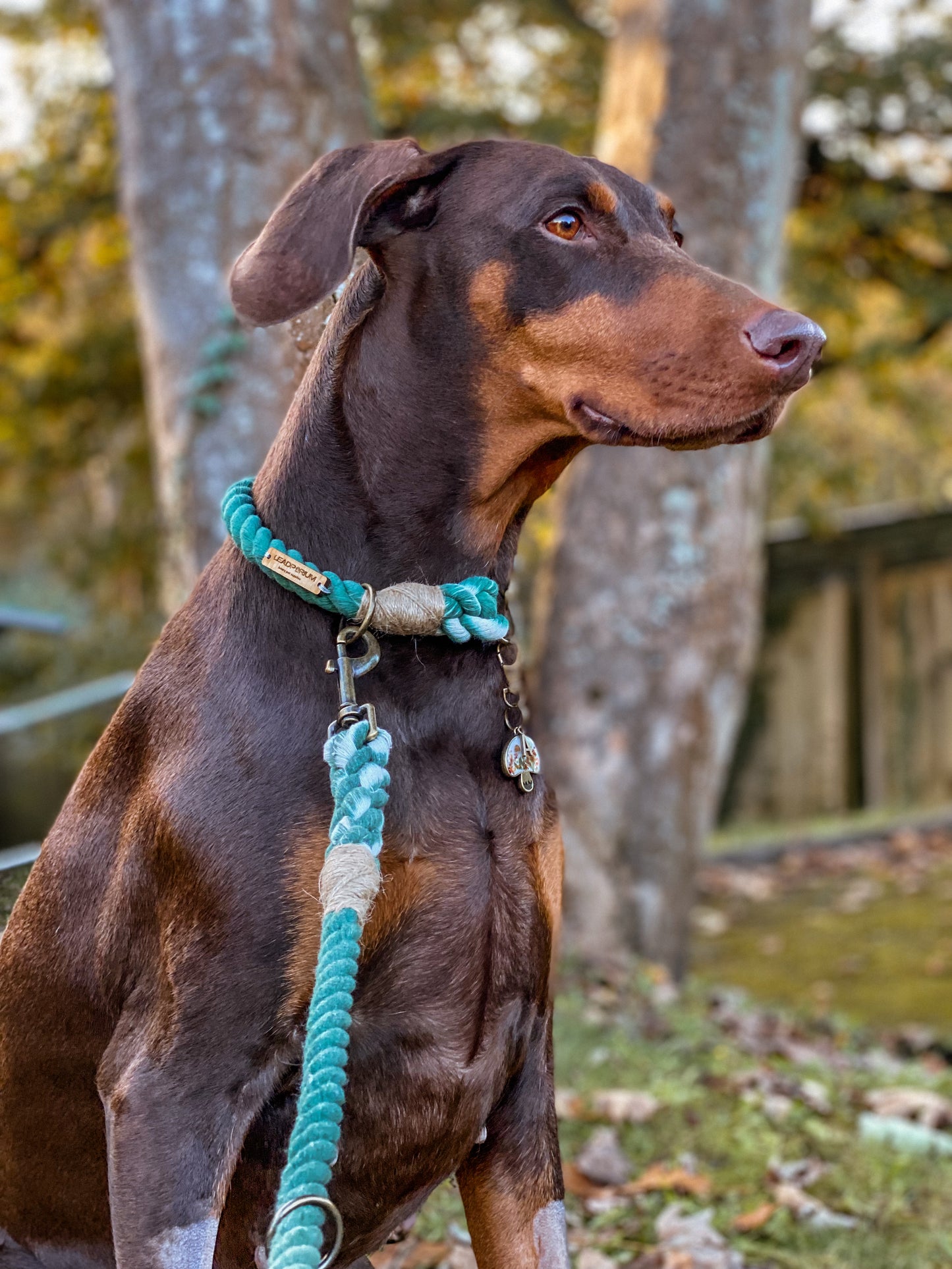 The Standard Rope Lead