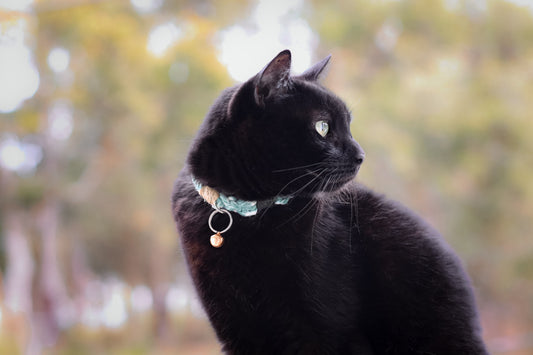 The Cat Rope Collar