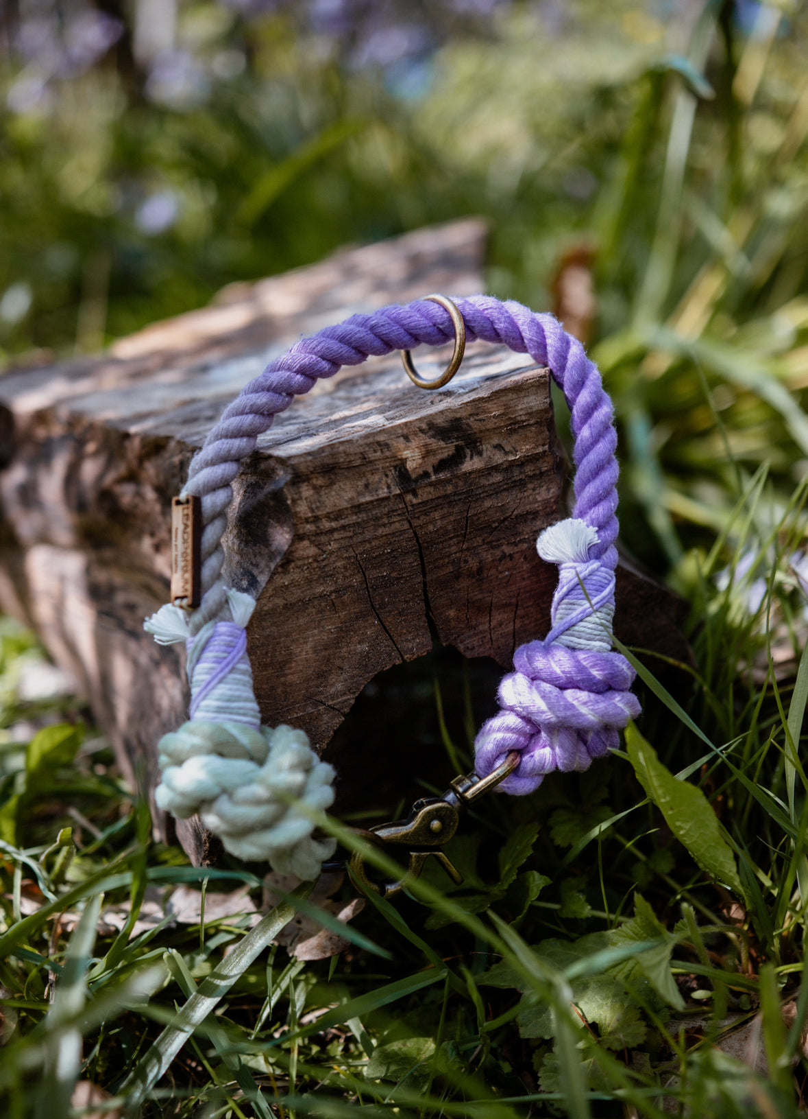 Lavender Fields Dog Collars