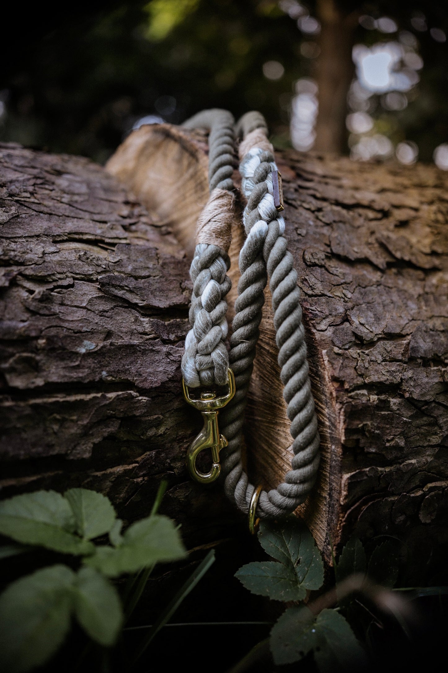 The Standard Rope Lead