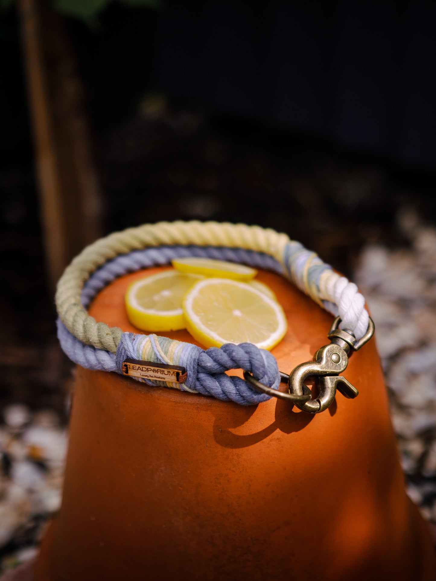 Amalfi, The Dog Collars