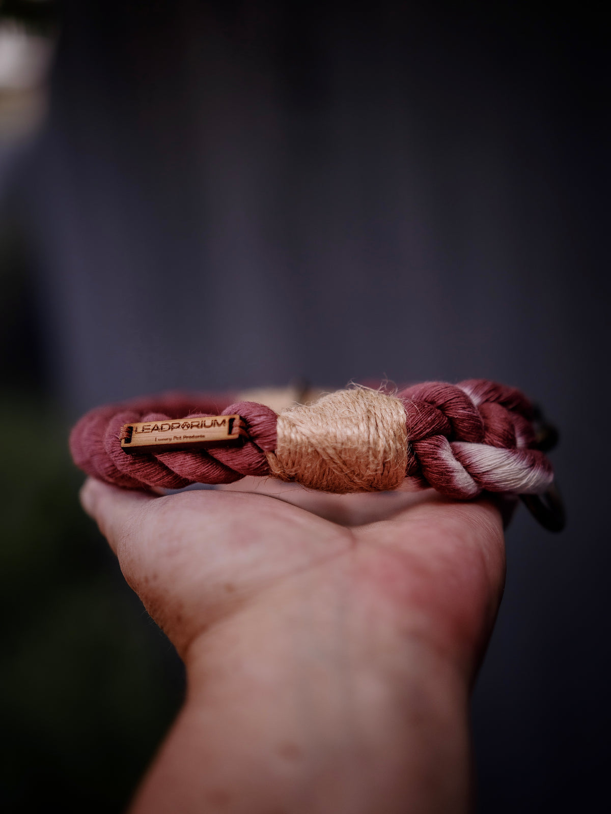 The Big Boy Rope Collar