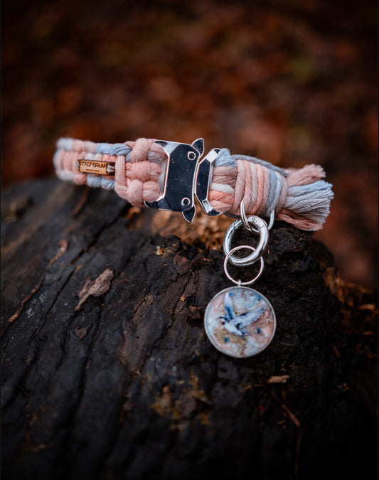 English Enchantment collars