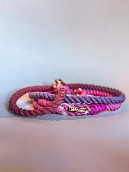 Ombré Slip Lead