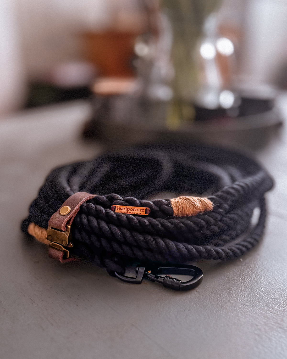 The Raven Long line Rope lead