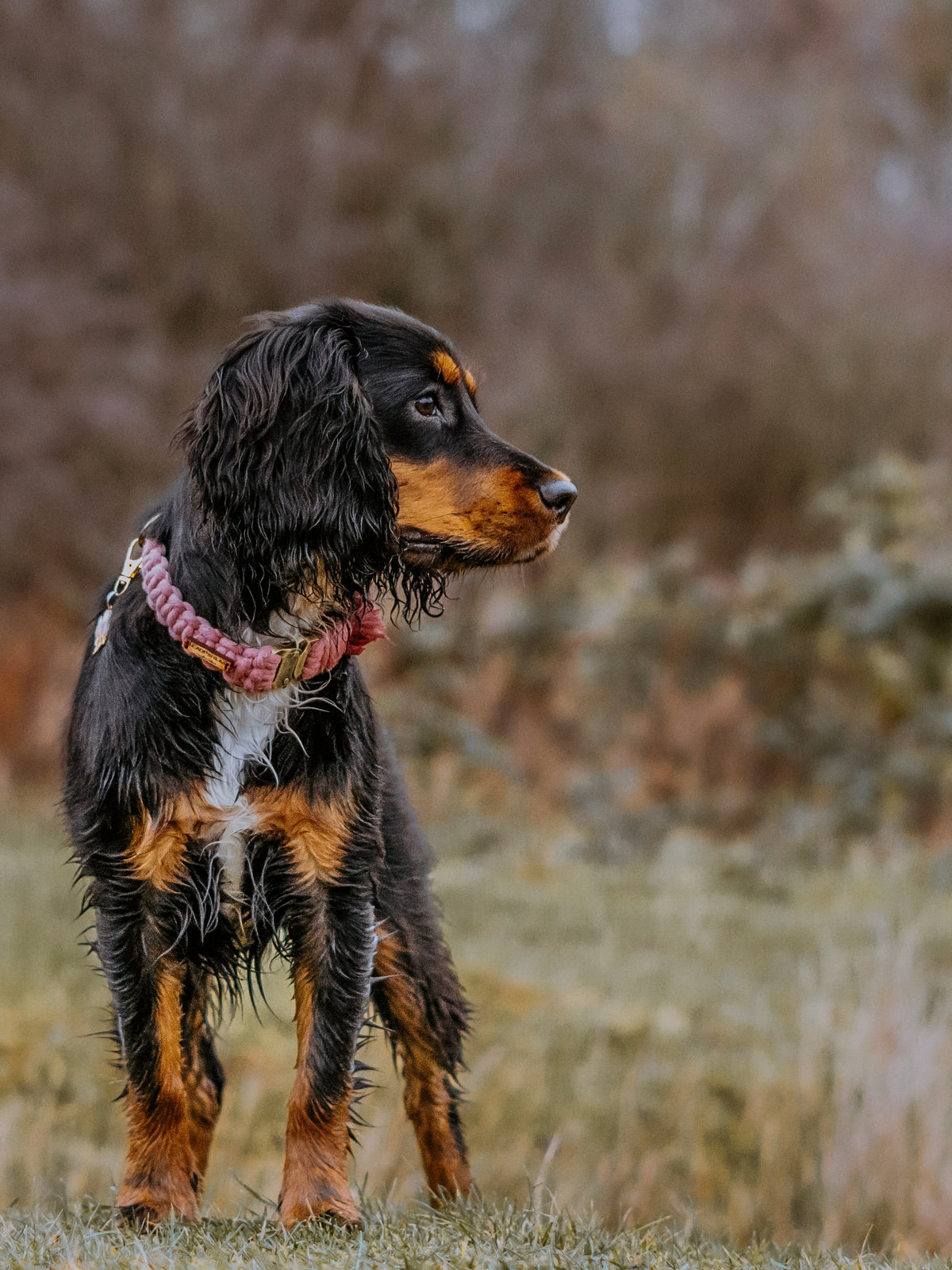 Macrame collars