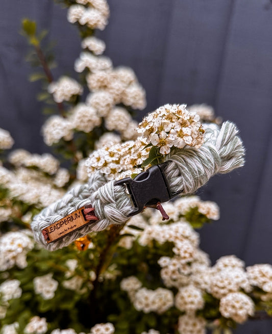 Cat breakaway Macrame collar