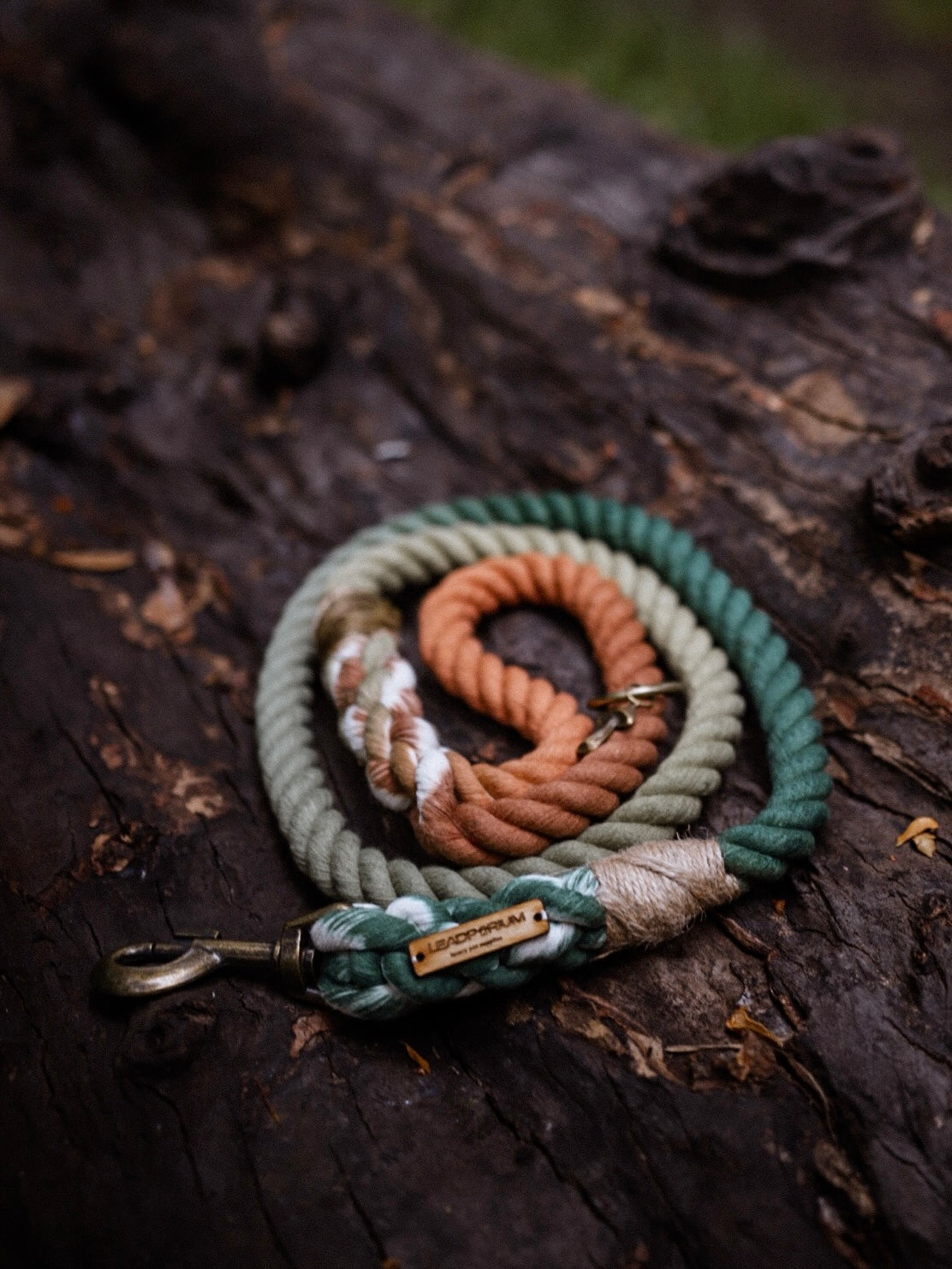 Ombré Standard Clip Lead