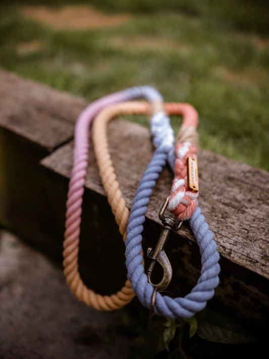 Ombré Standard Clip Lead