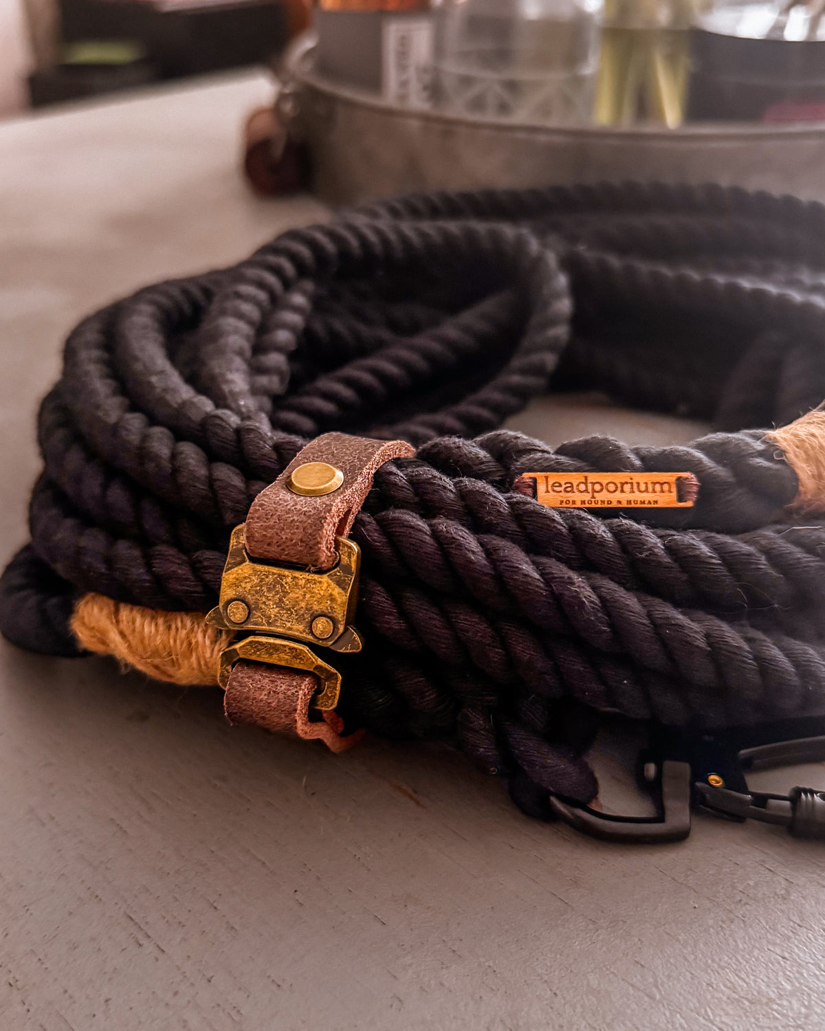 The Raven Long line Rope lead