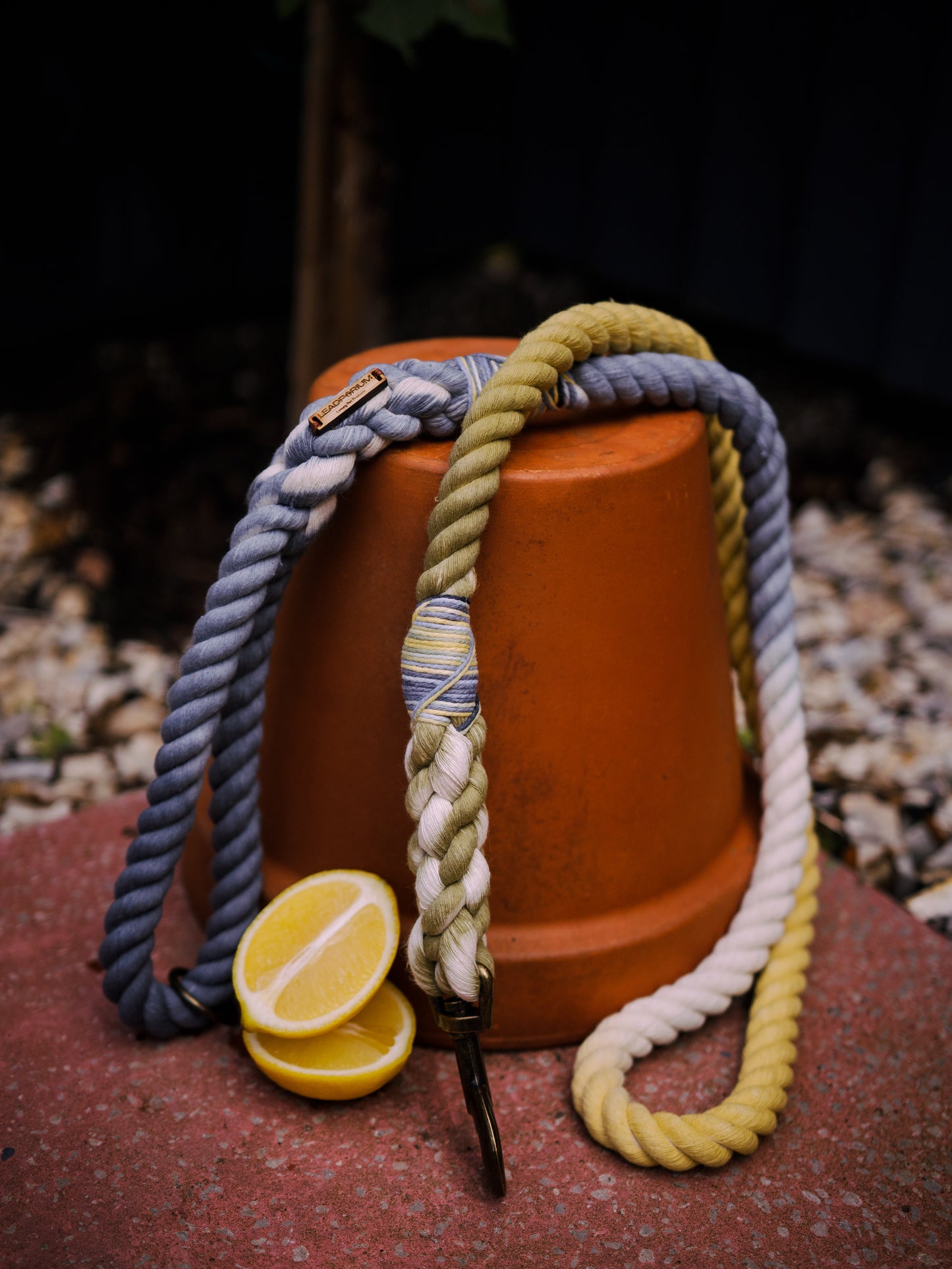 Amalfi, The Dog Leads