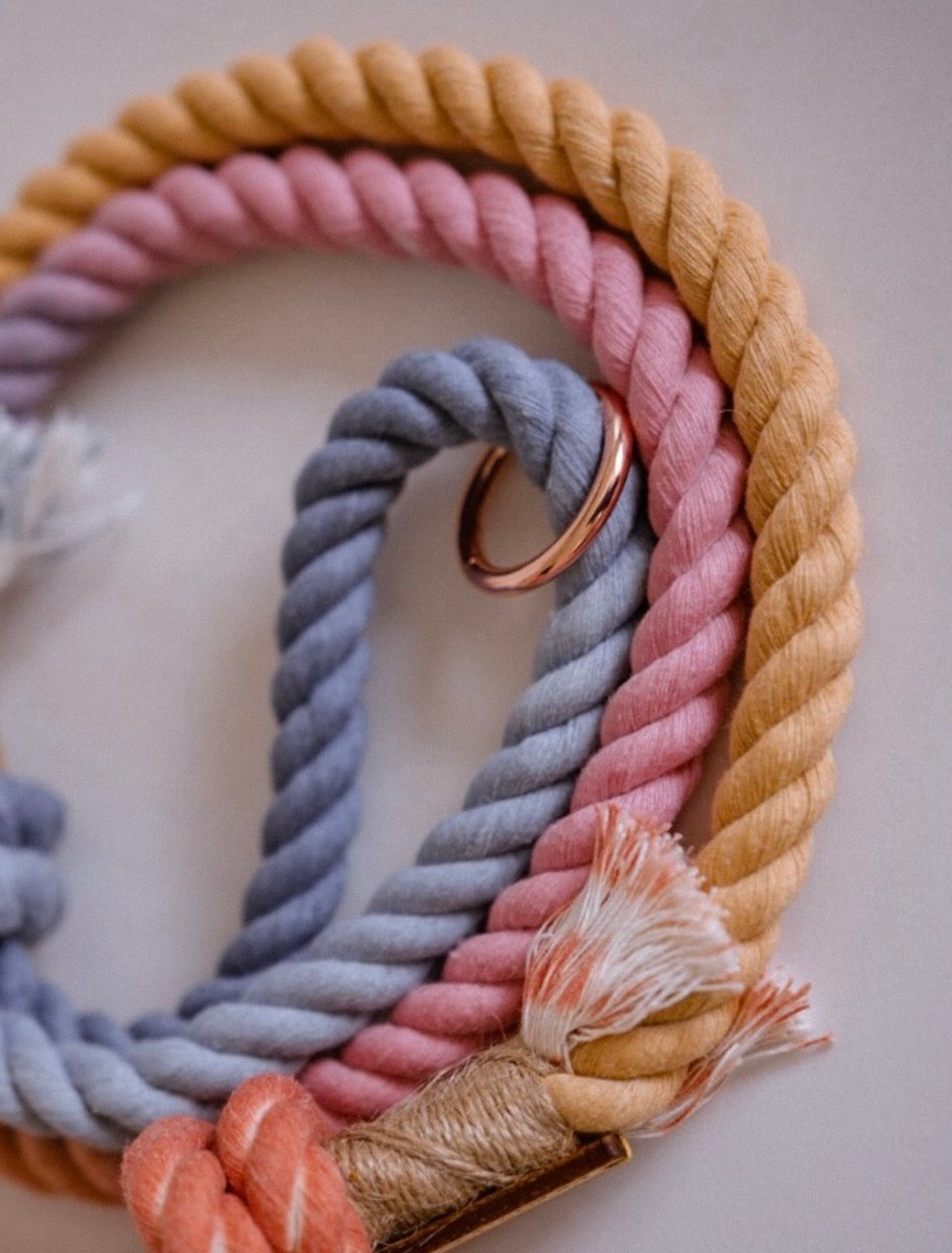 Ombré Standard Clip Collar