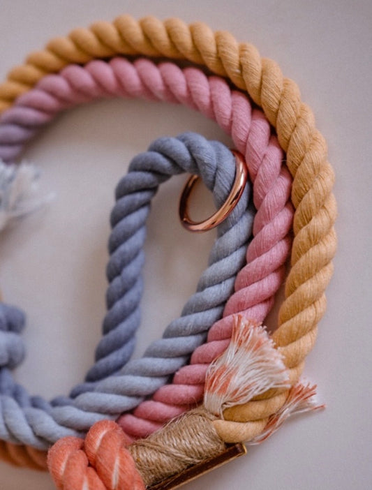 Ombré Knotted Collar