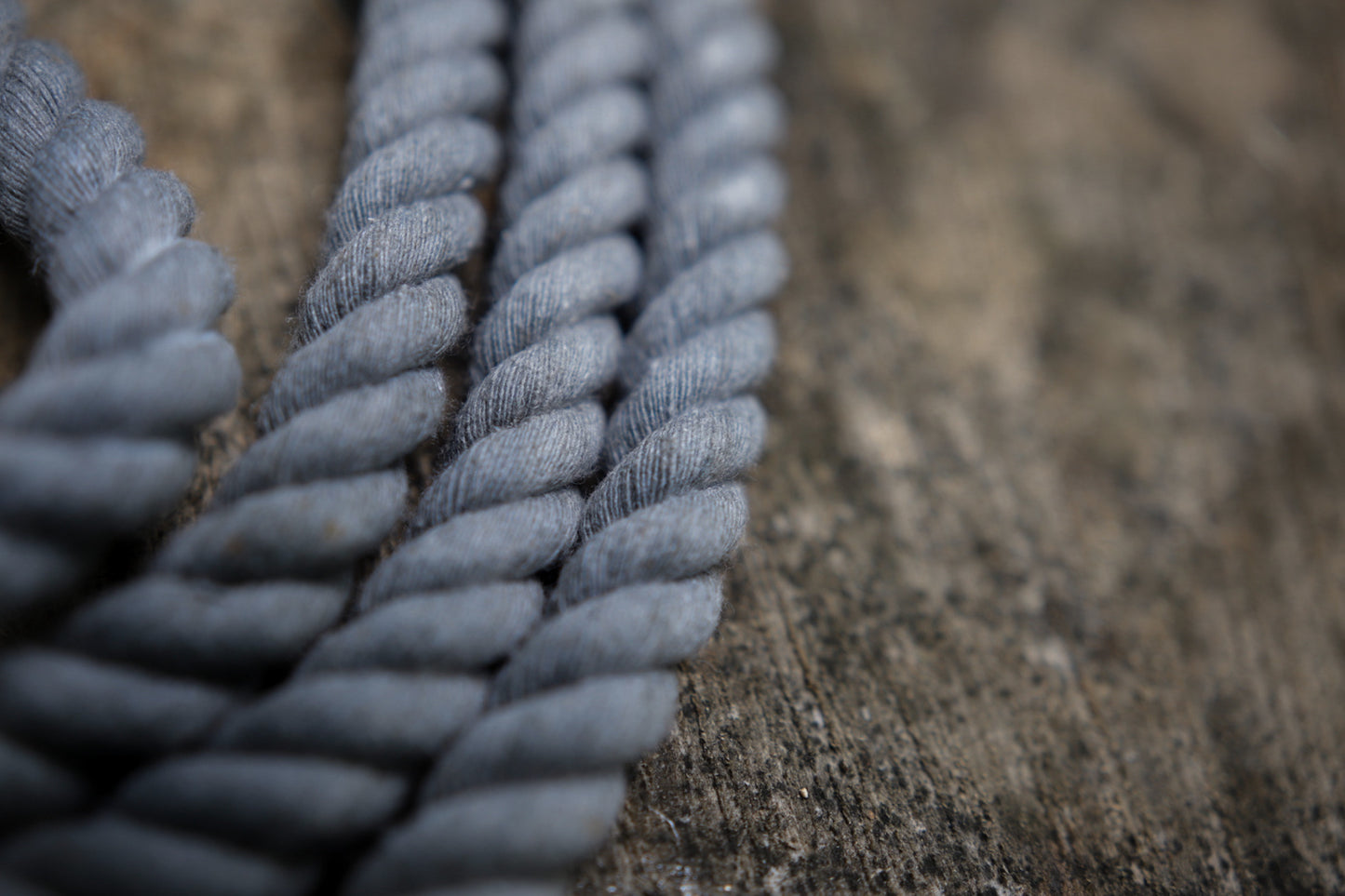 The Knotted Rope Dog Lead