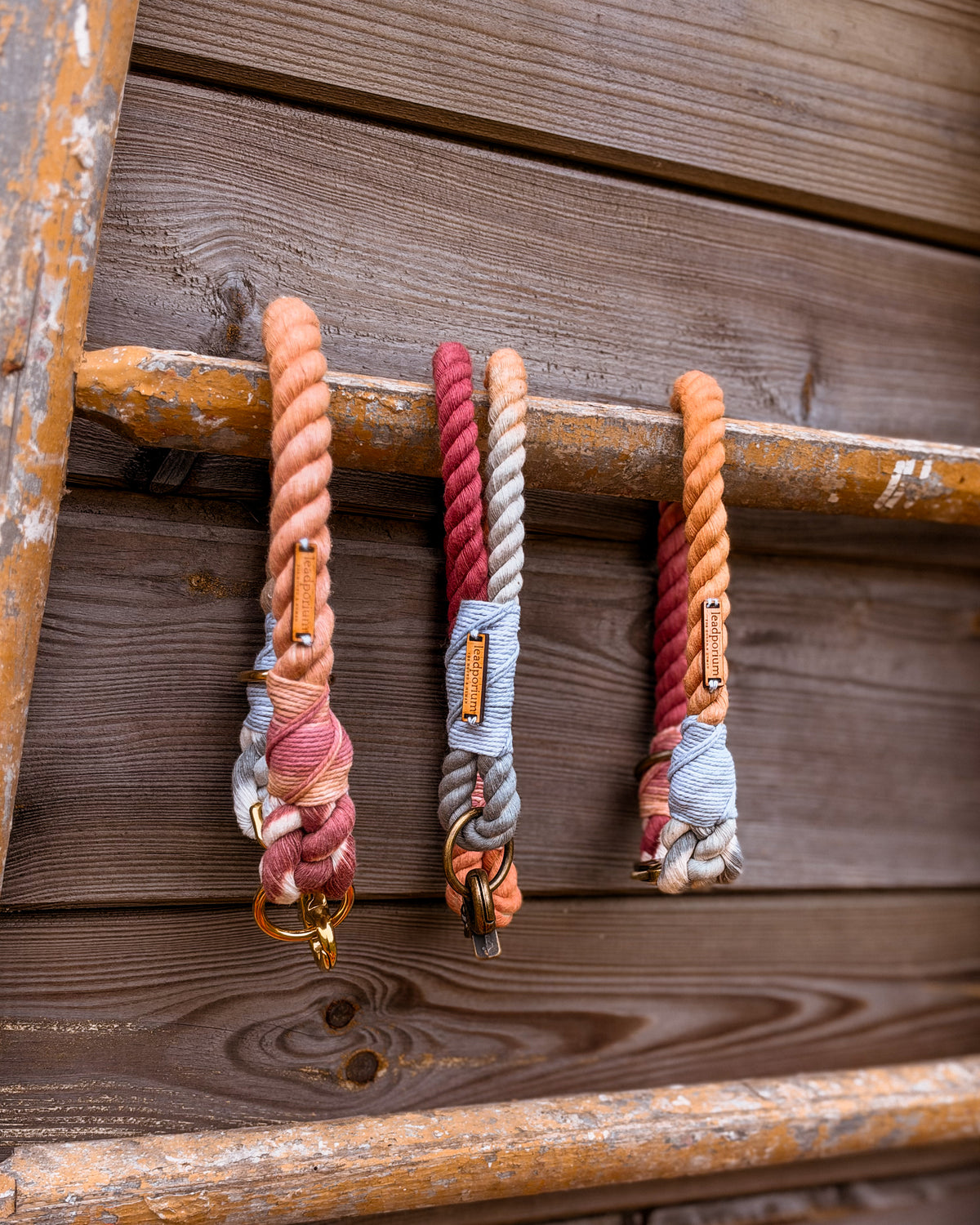 Aspen, the collars