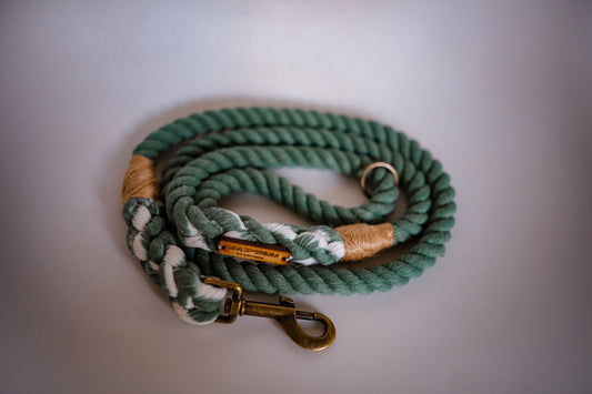 The Standard Rope Lead