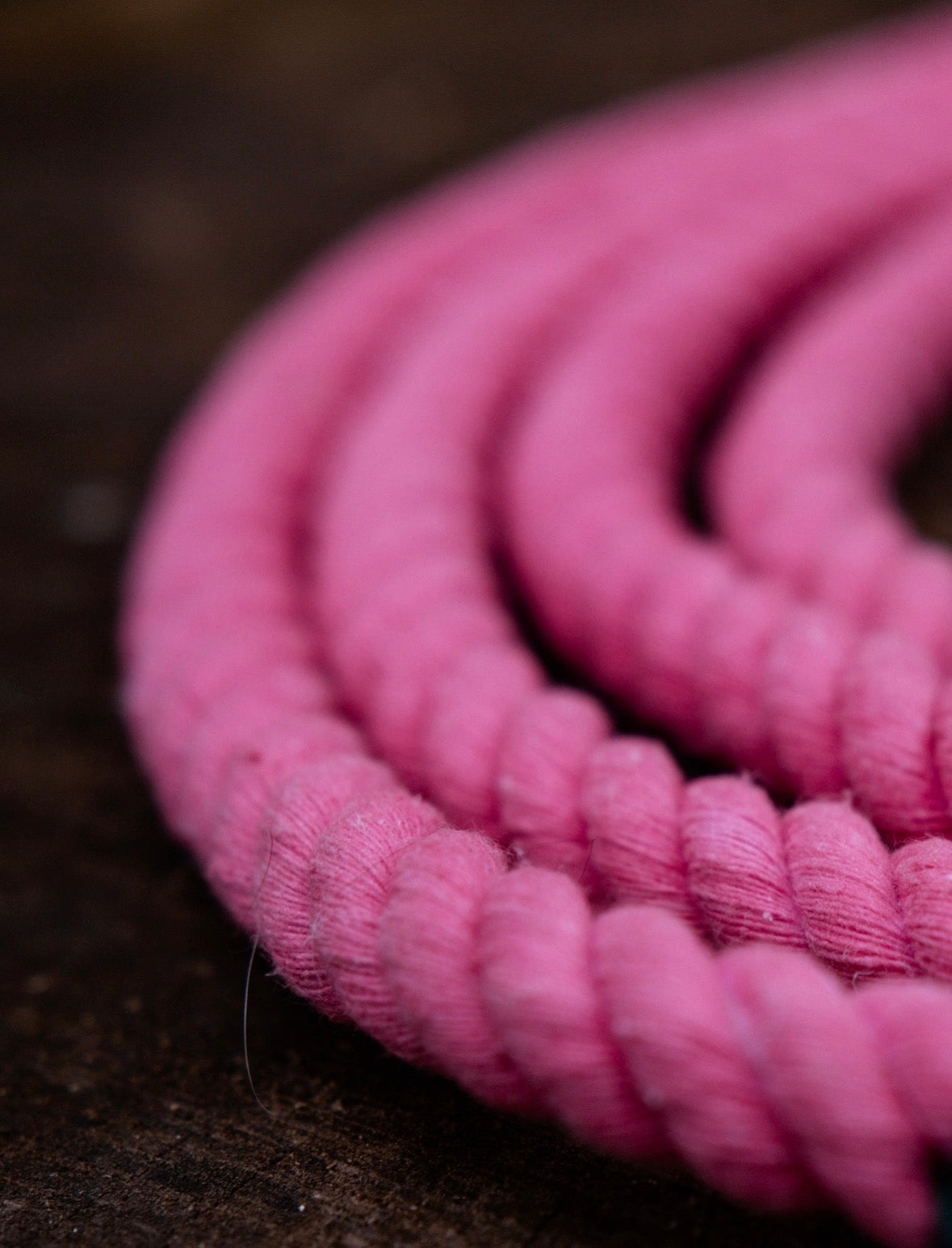 The Hands Free Rope Lead