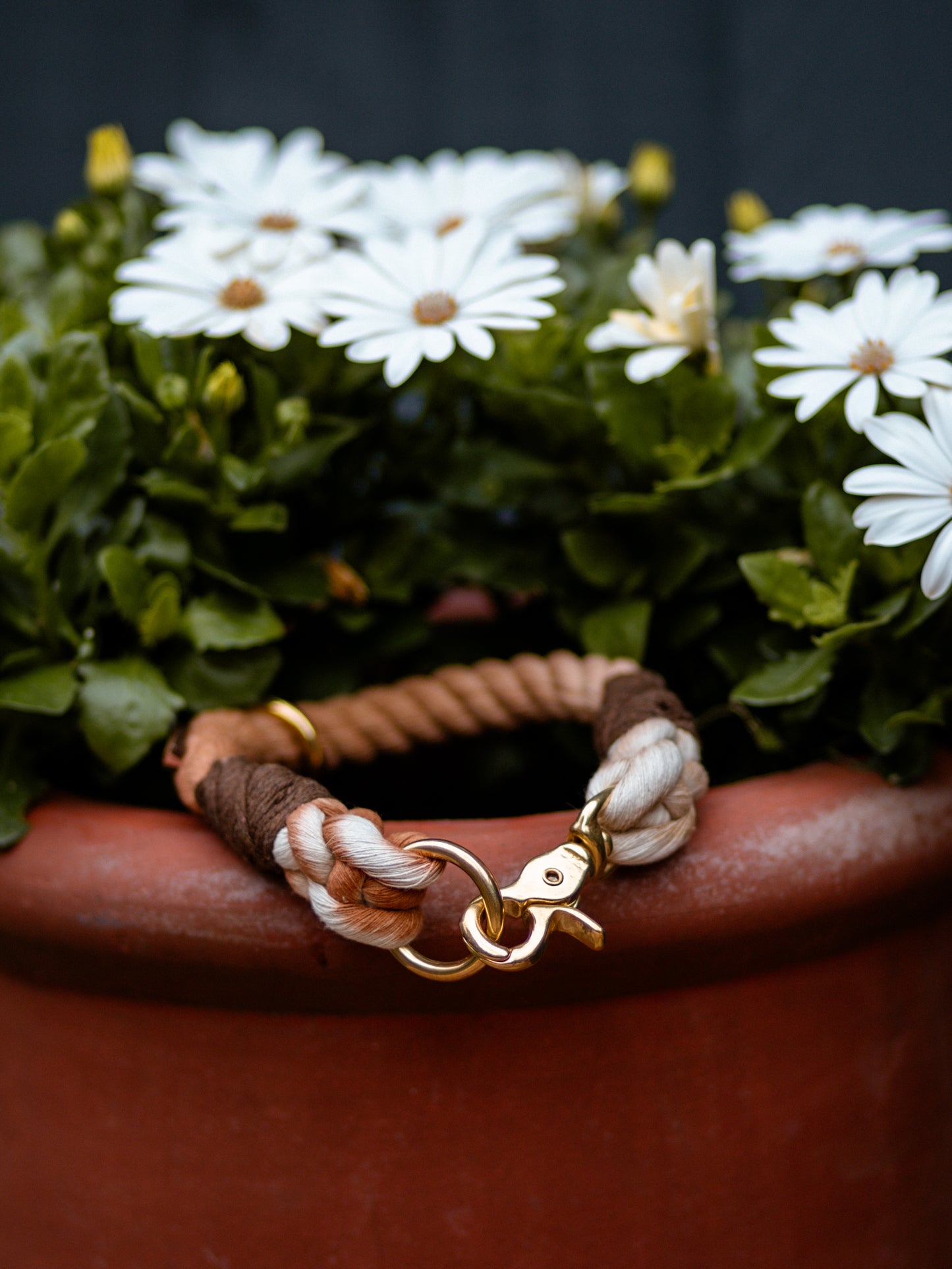 The Standard Rope Collar