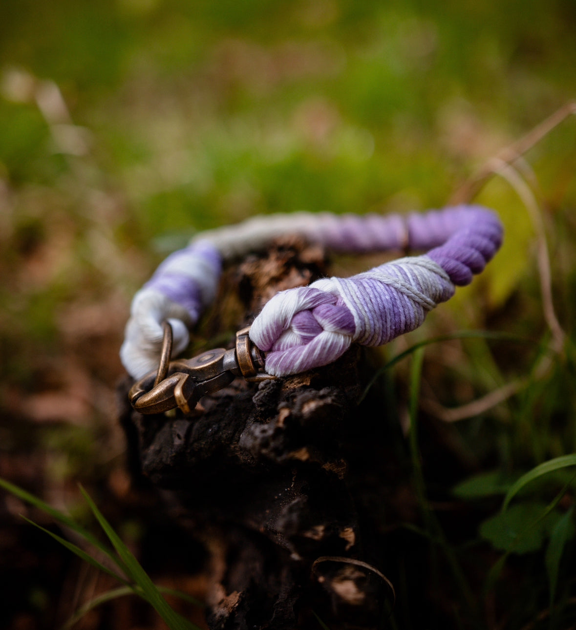 Lavender Fields Dog Collars