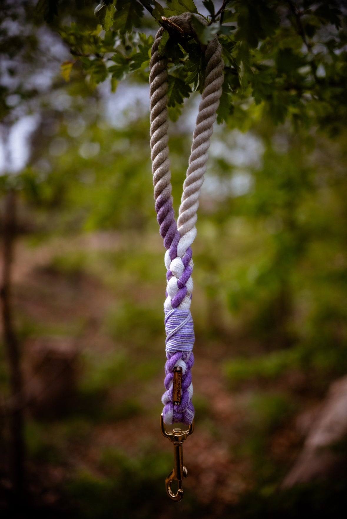 Lavender Fields Dog Leads