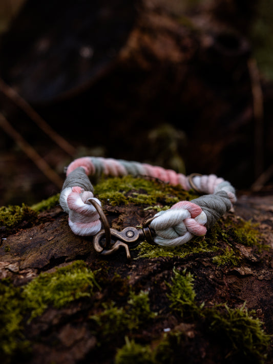 Bloom baby Bloom, The Collars