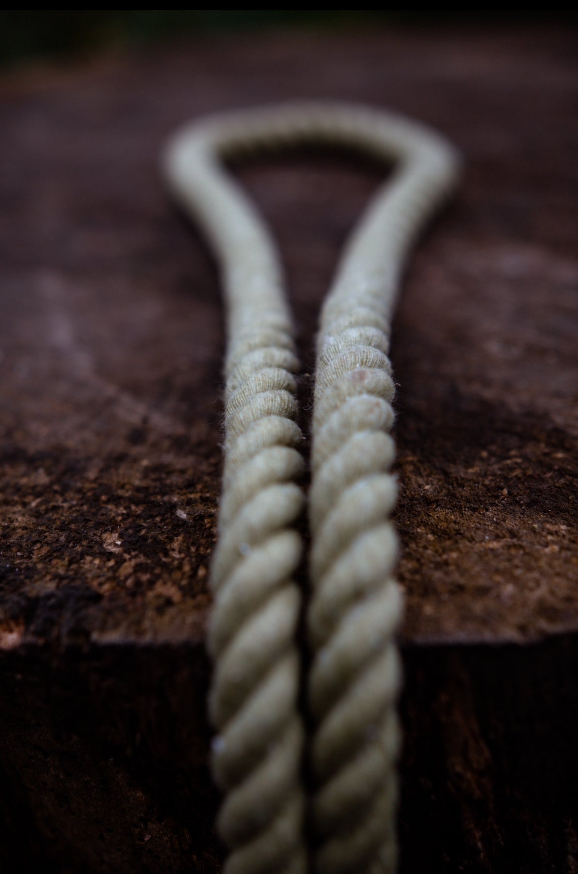 The Hands Free Rope Lead