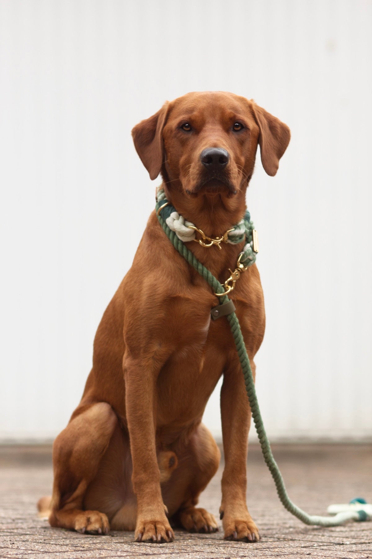 Slip and clip rope lead