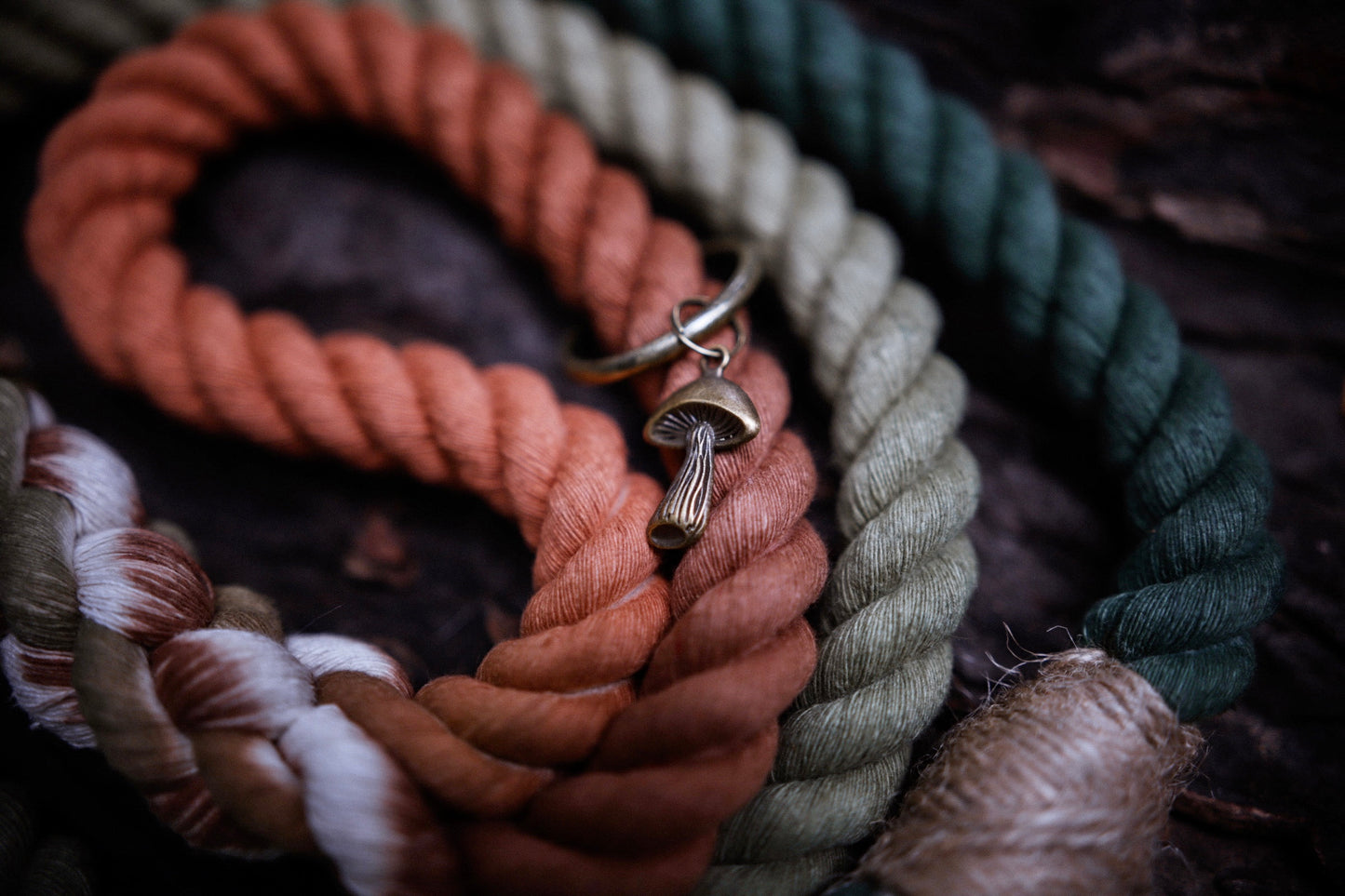 Ombré Quick Release Collar