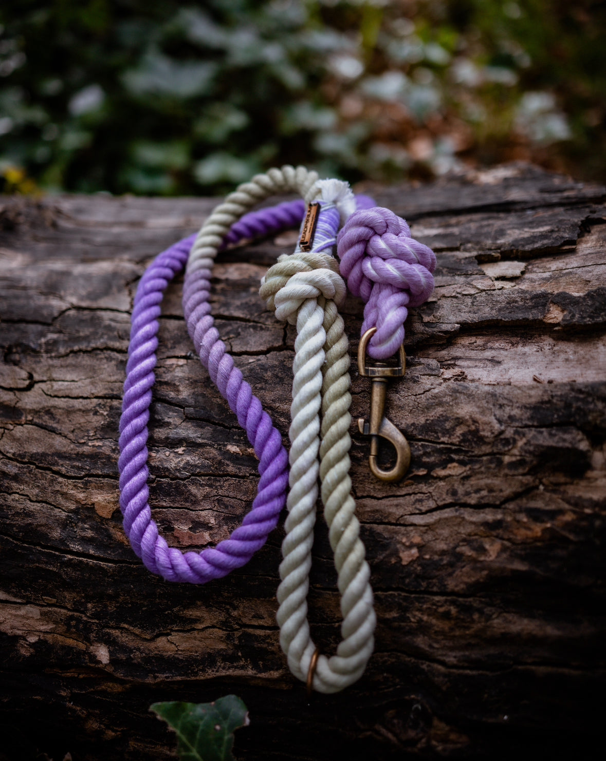 Lavender Fields Dog Leads