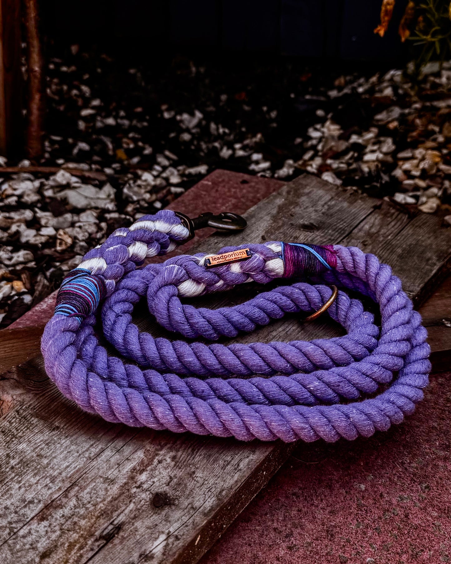 Limited Edition Dog Leads