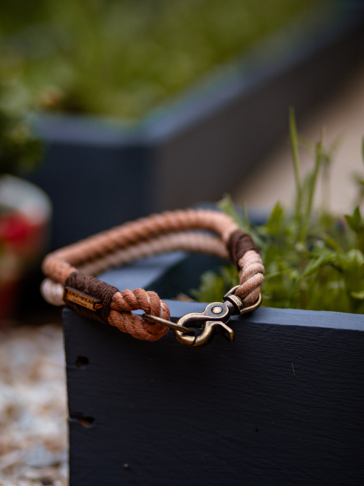 Ombré Double Up ID Collar