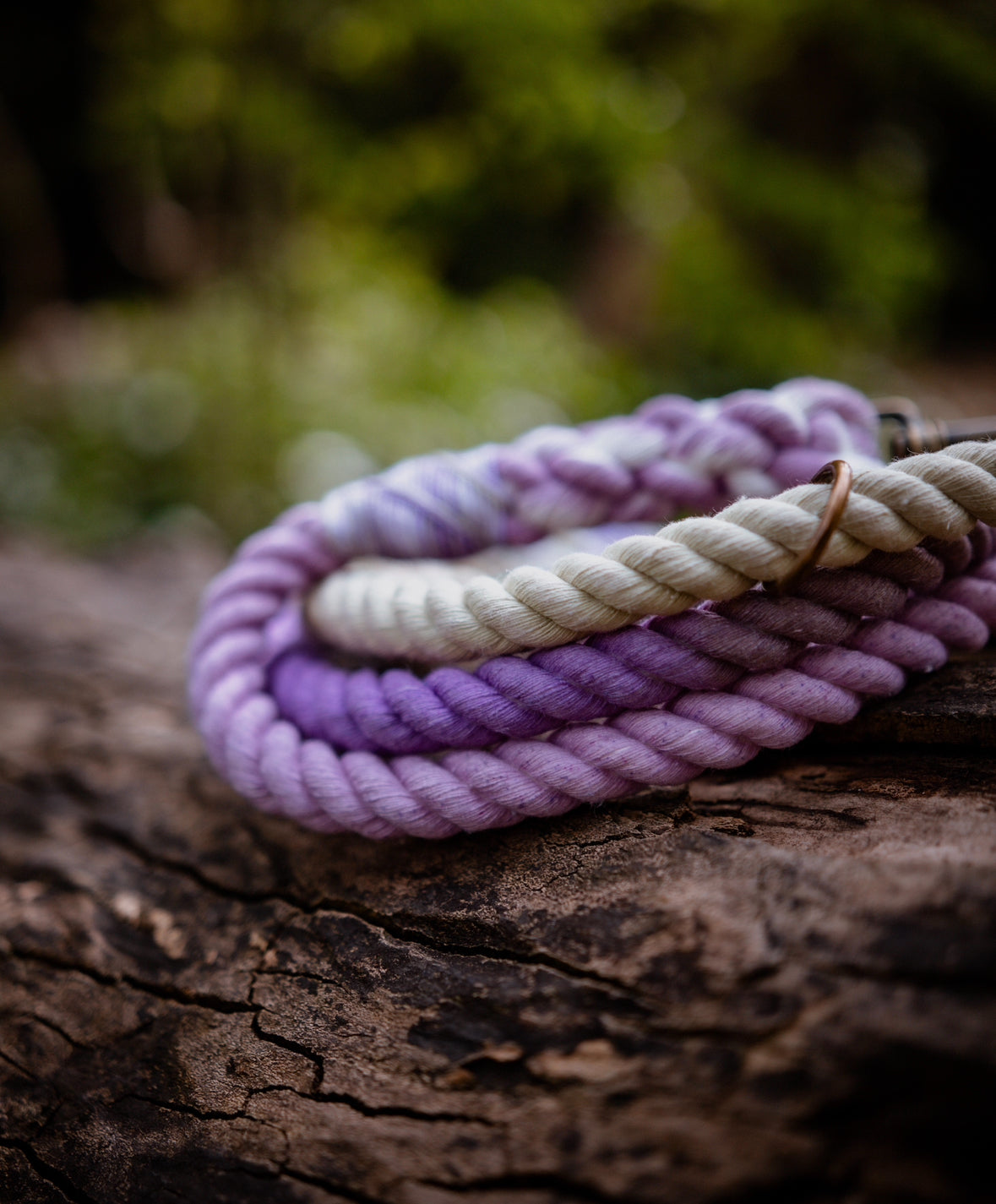 Lavender Fields Dog Leads