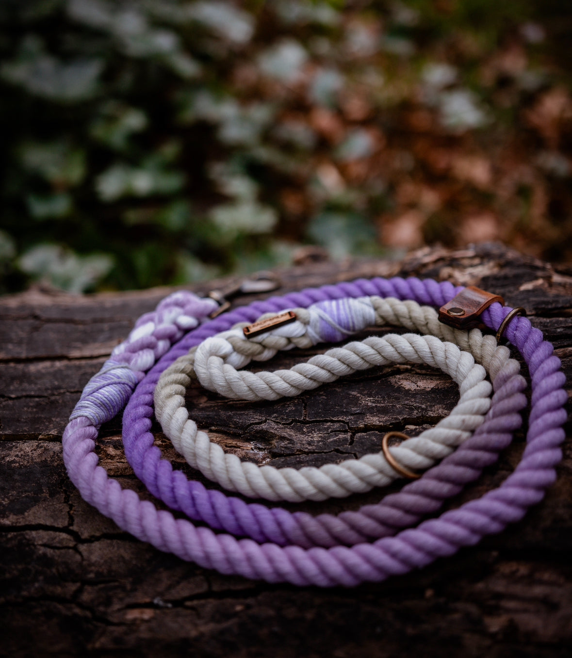 Lavender Fields Dog Leads