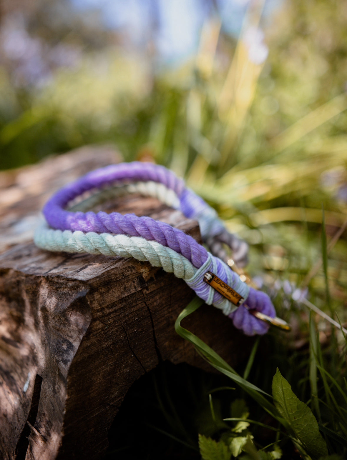 Lavender Fields Dog Collars