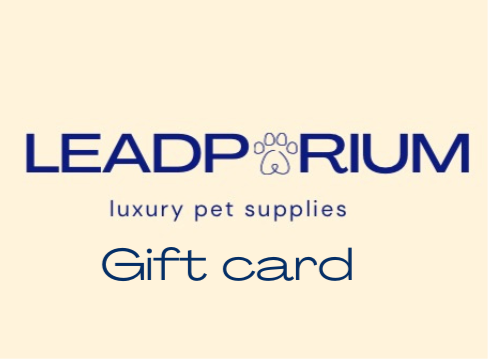 E gift card