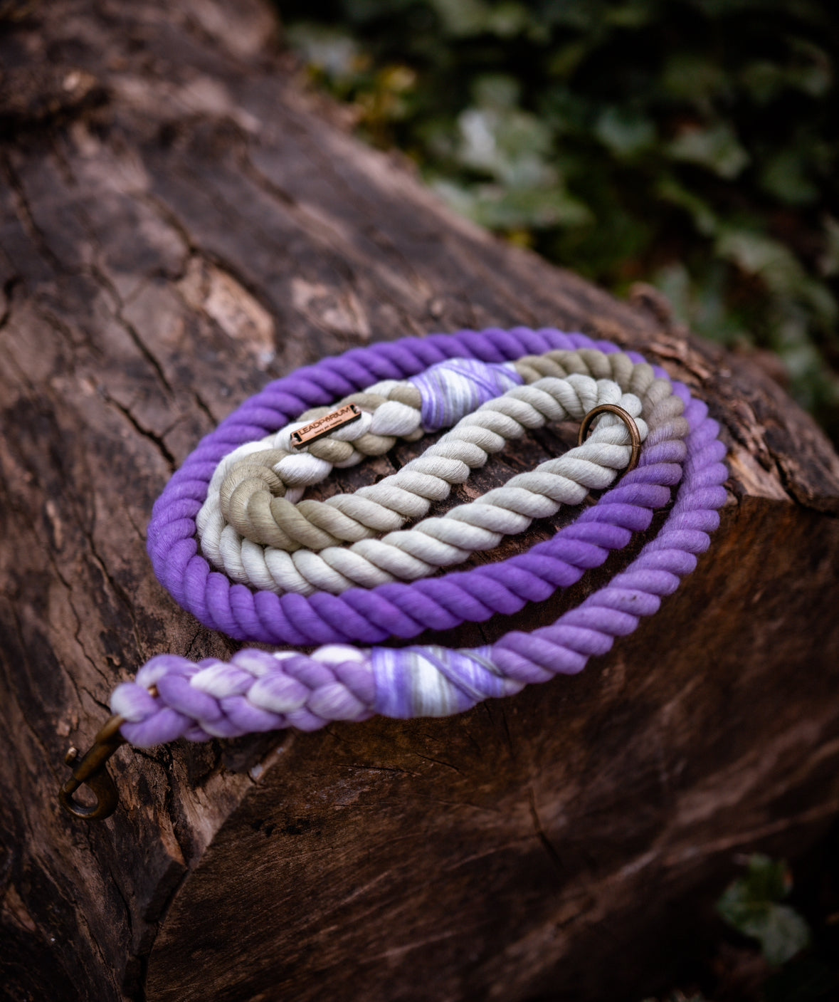 Lavender Fields Dog Leads