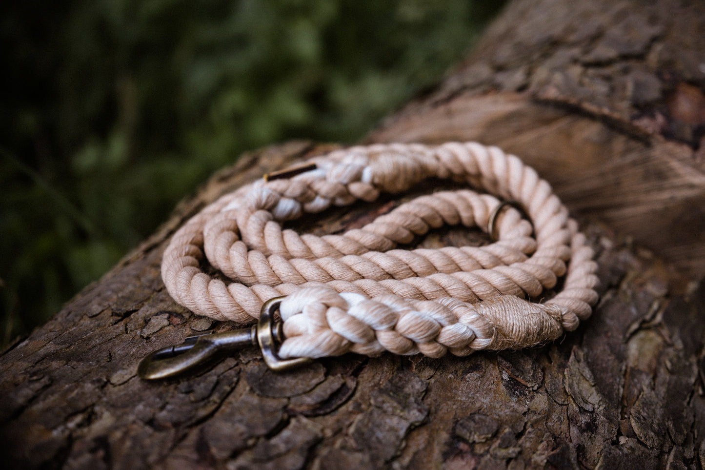 The Big Boy rope lead