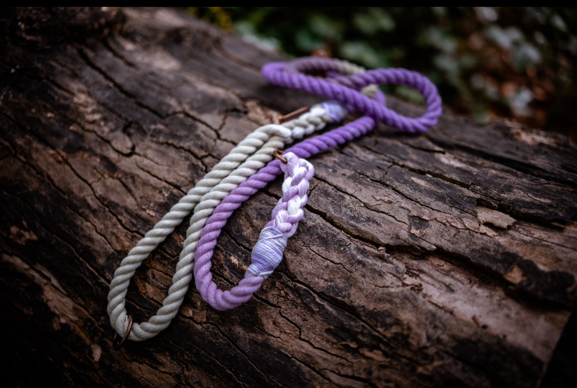 Lavender Fields Dog Leads