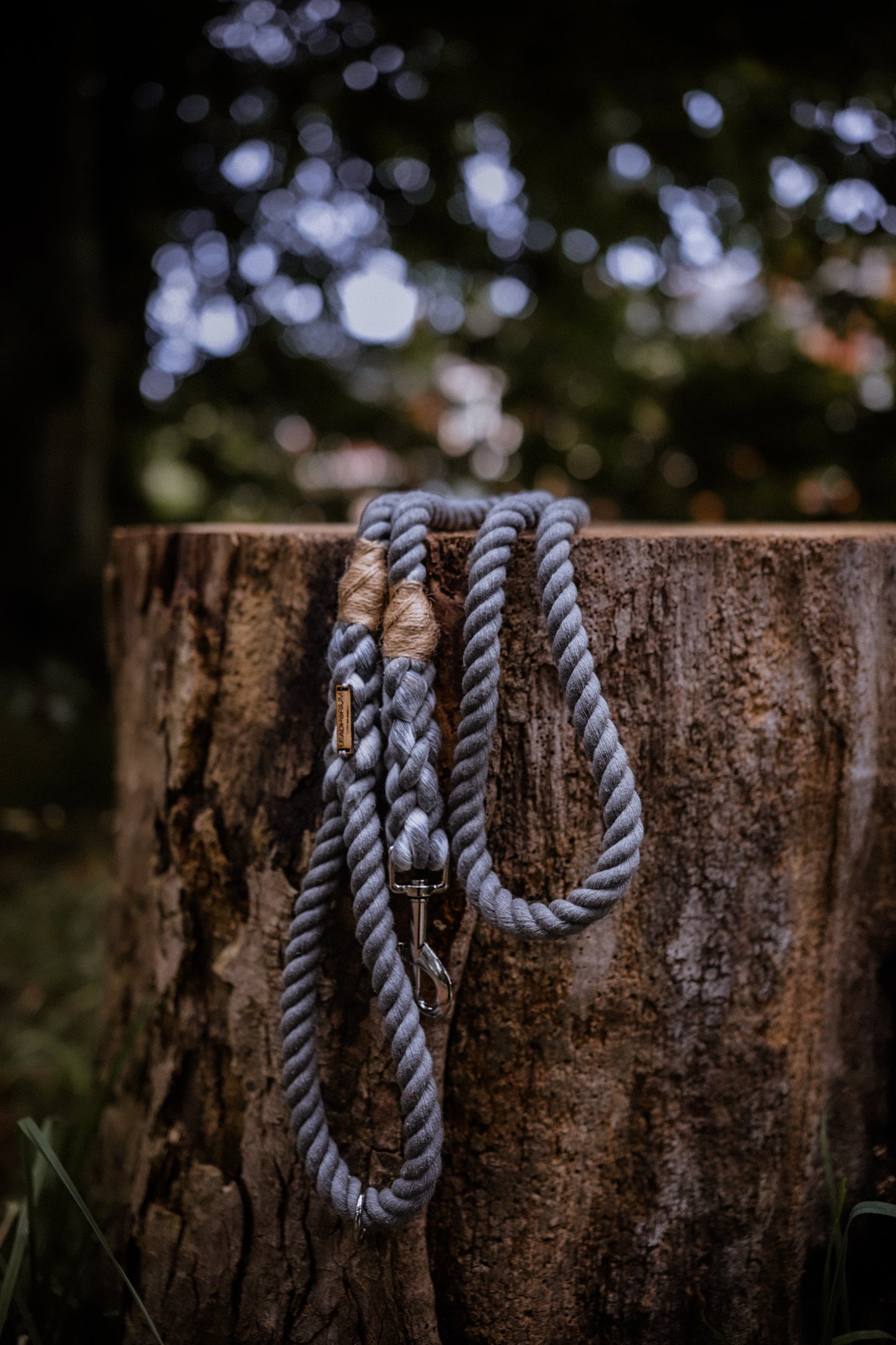 The Standard Rope Lead