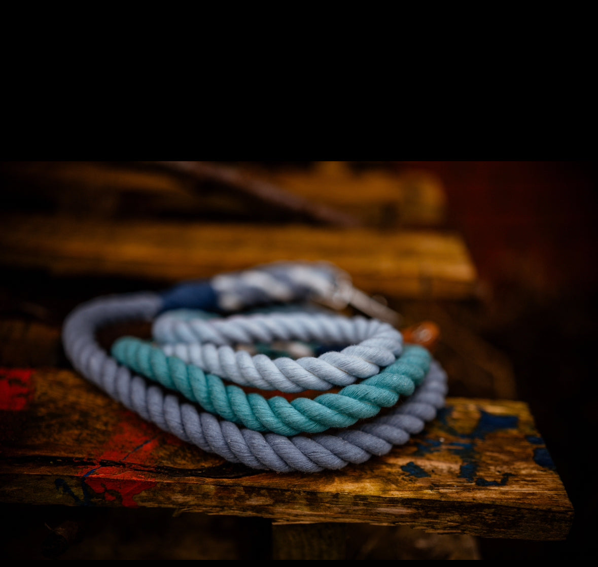 The Standard Rope Lead