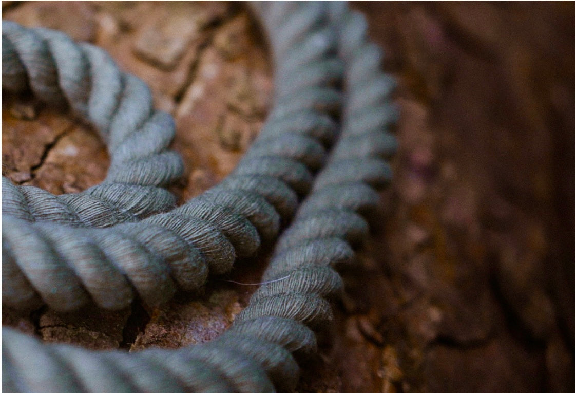 The Big Boy Rope Collar