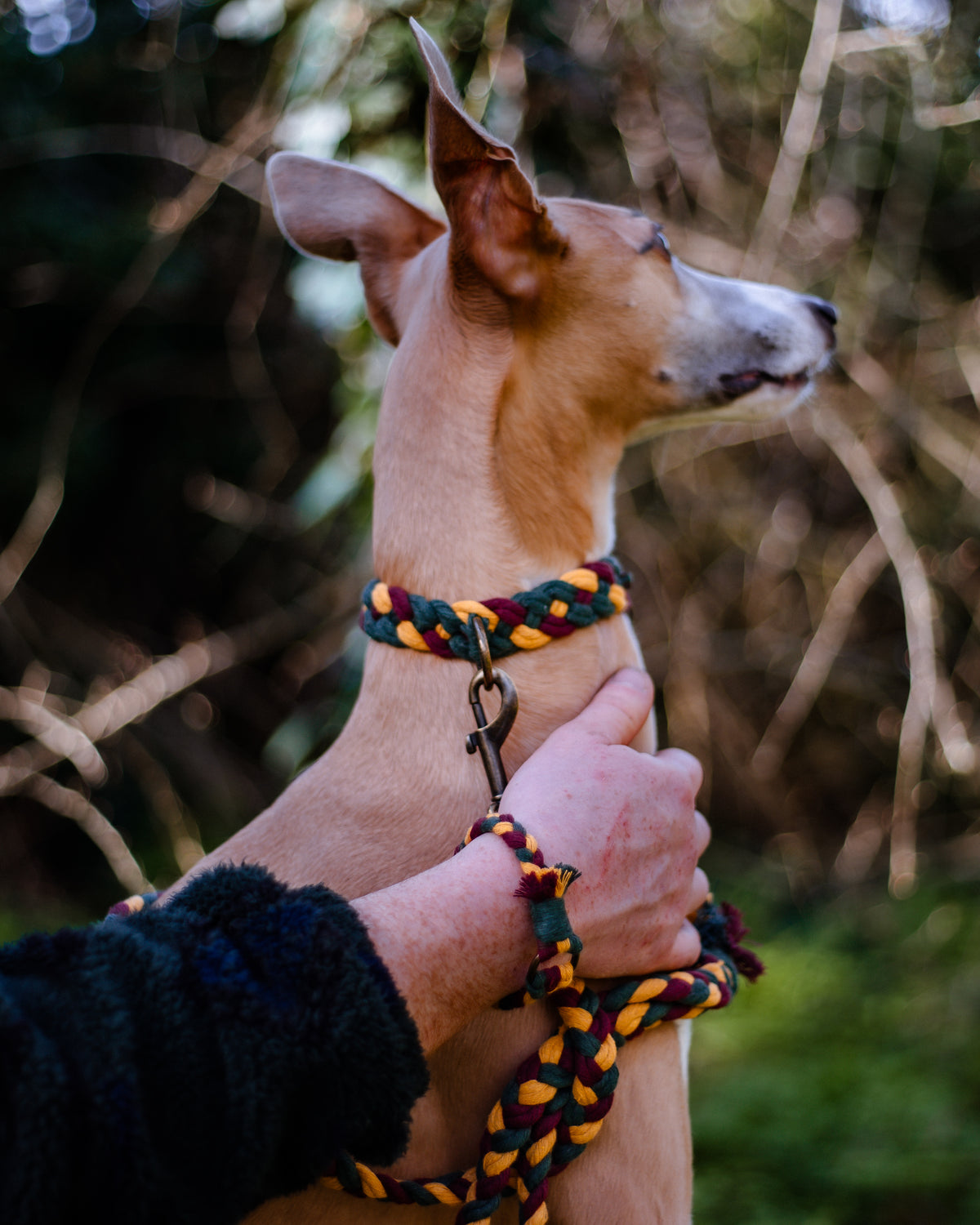 Plaited Macramé Bracelet