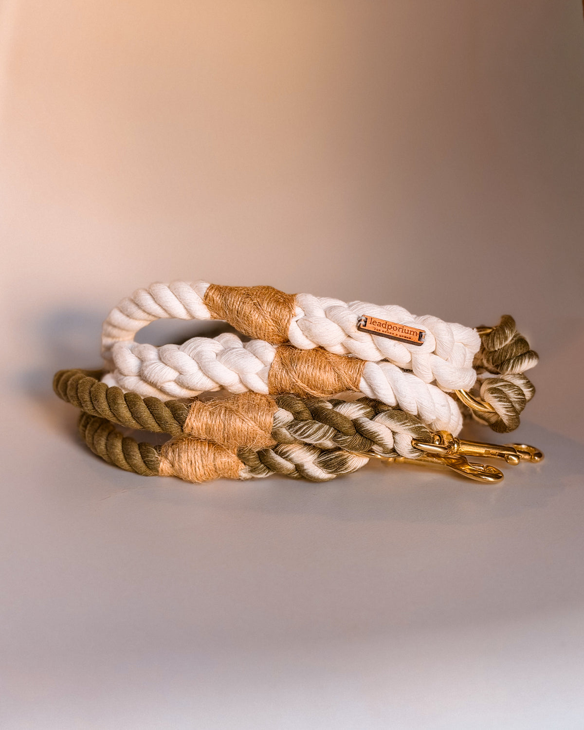 The Multi Rope Lead