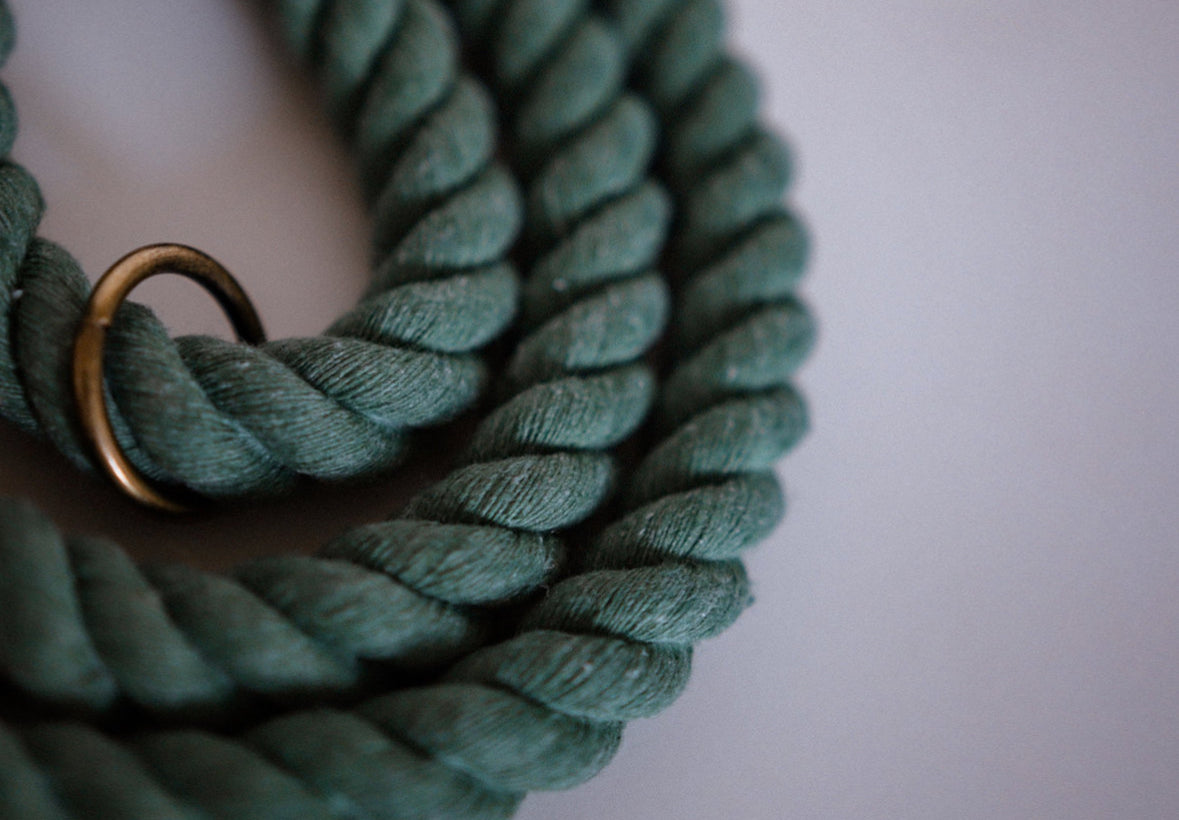 The Big Boy Rope Collar