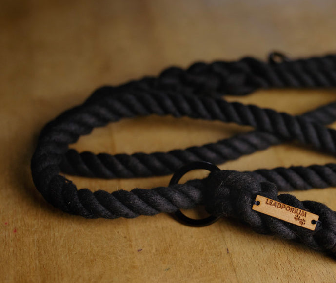 The Knotted Rope Dog Collar
