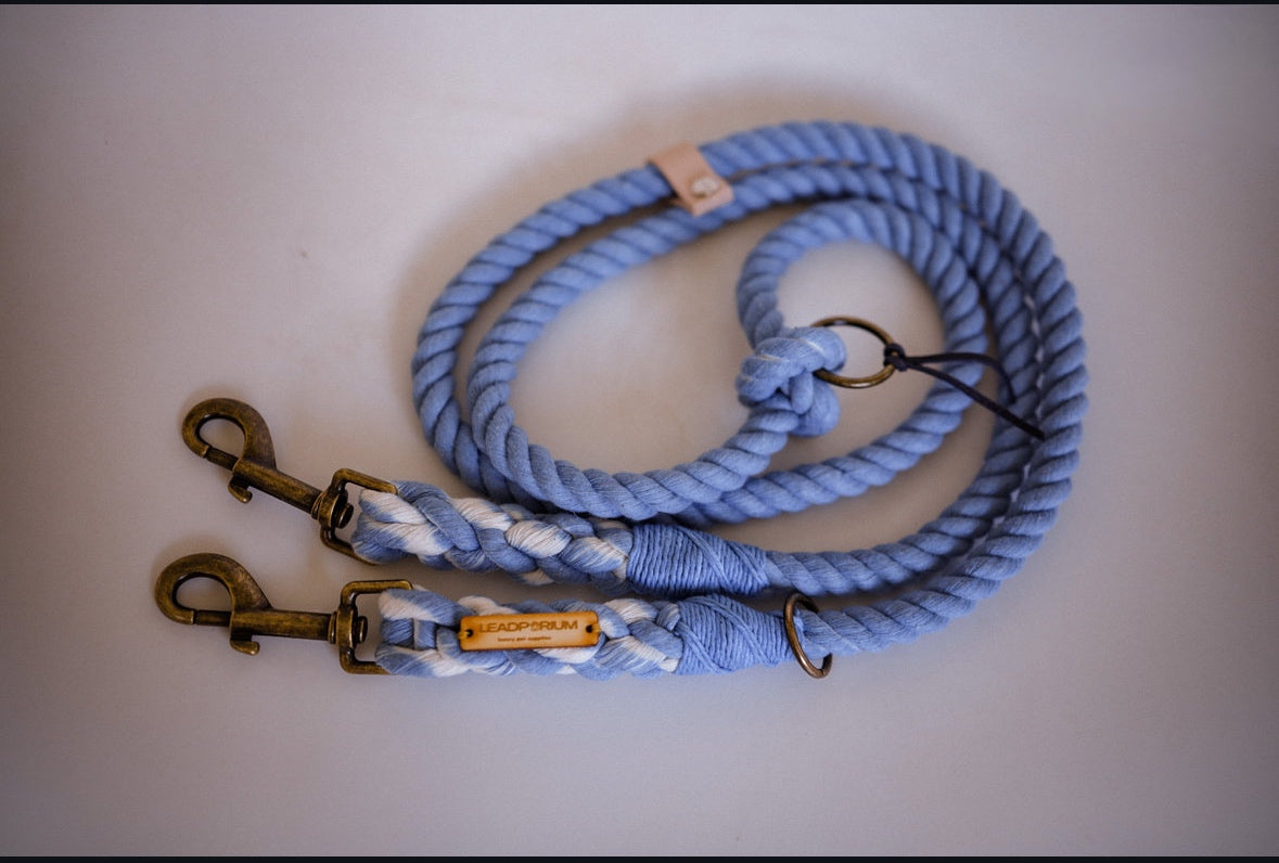 The Hands Free Rope Lead